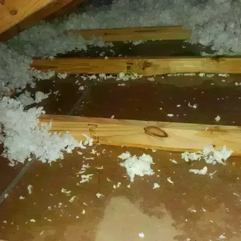 Attic Water Damage in Landrum, SC