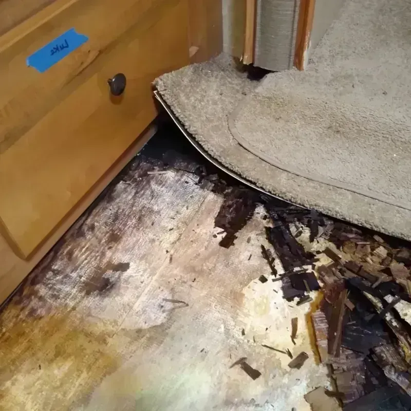 Best Wood Floor Water Damage Service in Landrum, SC